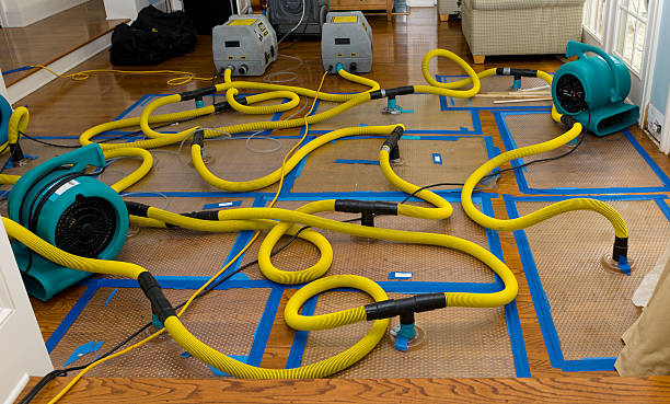 Professional Flood Damage Restoration technician working in Colton, SD